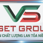 Vset Group