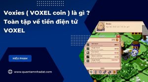 Voxies ( VOXEL coin ) là gì Toàn tập về tiền điện tử VOXEL