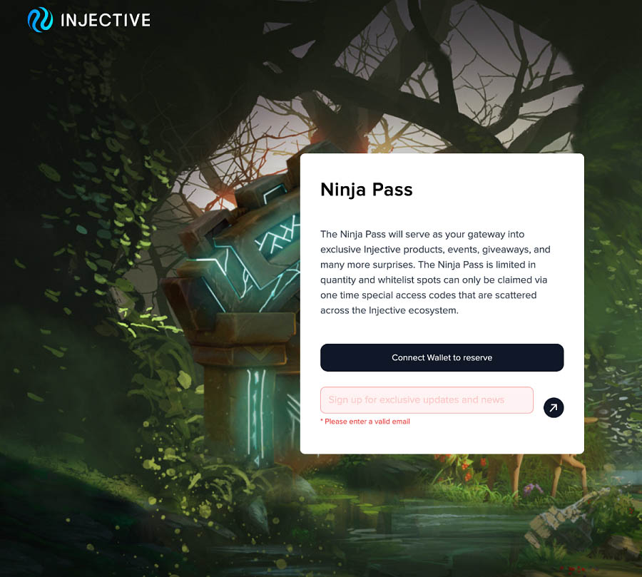 Injective Ninja Pass