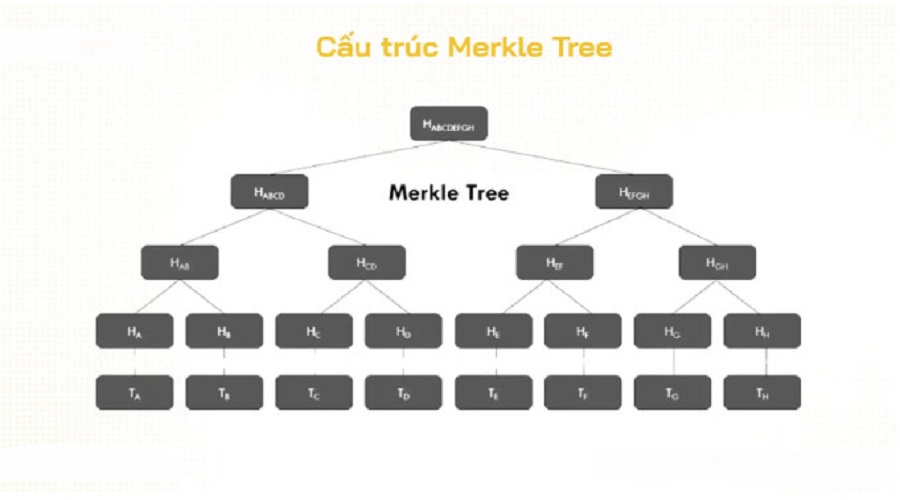 Cấu trúc của Merkle Tree, trong đó H là hàm băm và T là dữ liệu